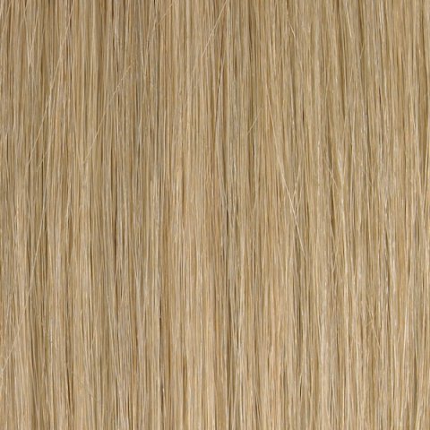 Colour #22
